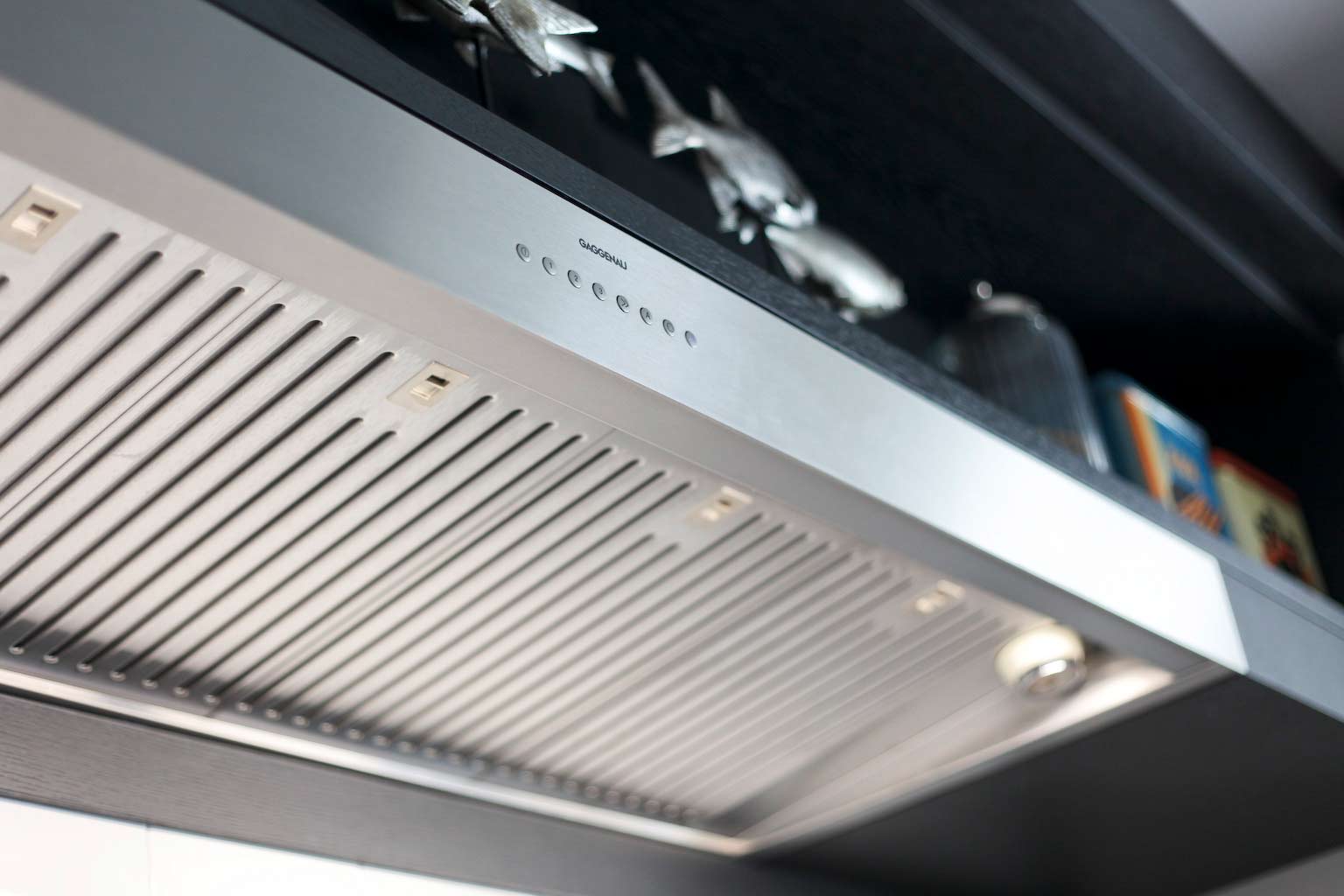 luxury kitchen interior wolf 9